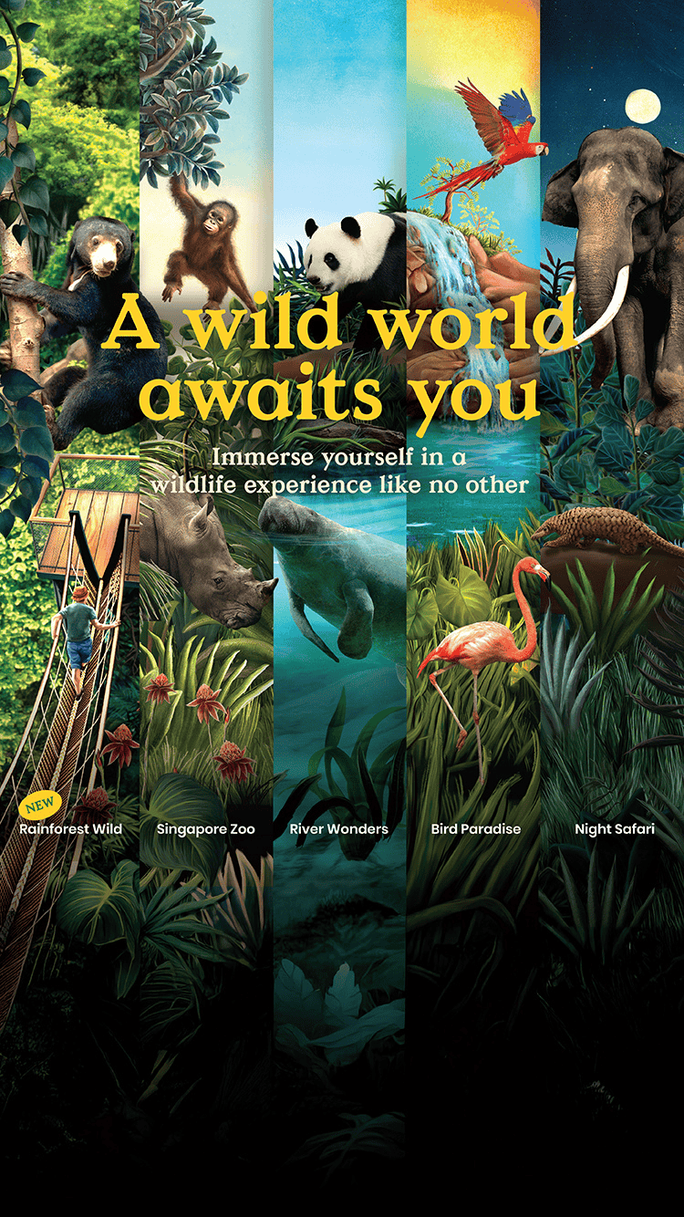 A wild world awaits you. Immerse yourself in a wildlife experience like no other.